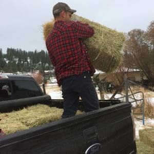 Meet your Posher, Jackson